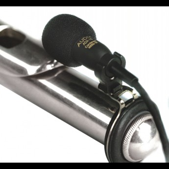 Инструментальный микрофон AUDIX ADX10FLP 26458